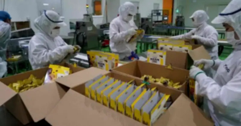 Fujiya Chọn Tây Ninh Làm Trung Tâm Xuất Khẩu Bánh Quy Mềm Country Ma’am Tại Châu Á