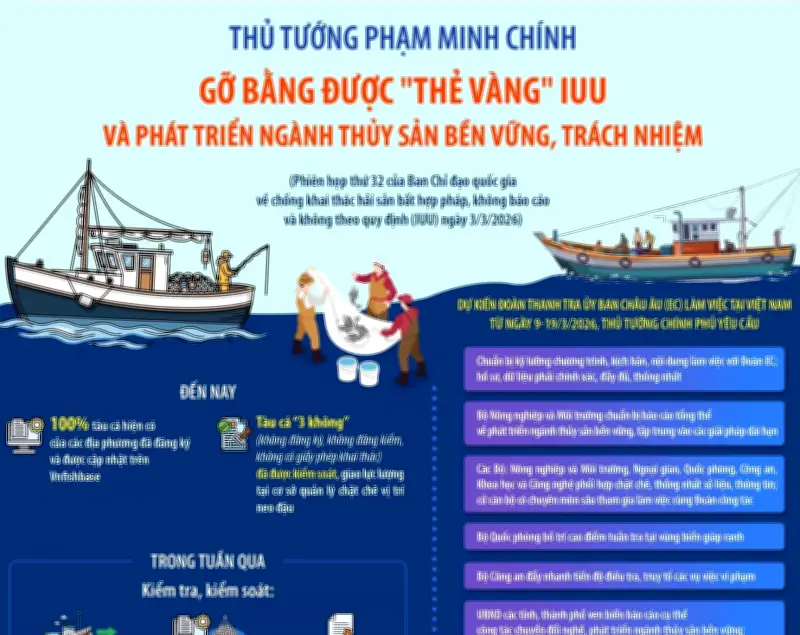 Gỗ bần được thế vàng, hỗ trợ phát triển ngành thủy sản bền vững và trách nhiệm