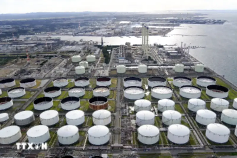 G7 cân nhắc tung ra thị trường khoảng 400 triệu thùng dầu từ kho dự trữ