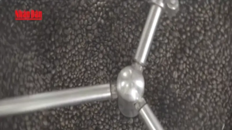 Giá cà phê và gạo tăng mạnh do nguồn cung thiếu hụt, áp lực lên thị trường