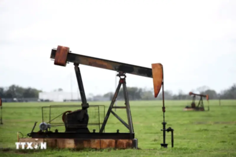 Giá dầu Brent vượt 116 USD/thùng trước rủi ro gián đoạn nguồn cung