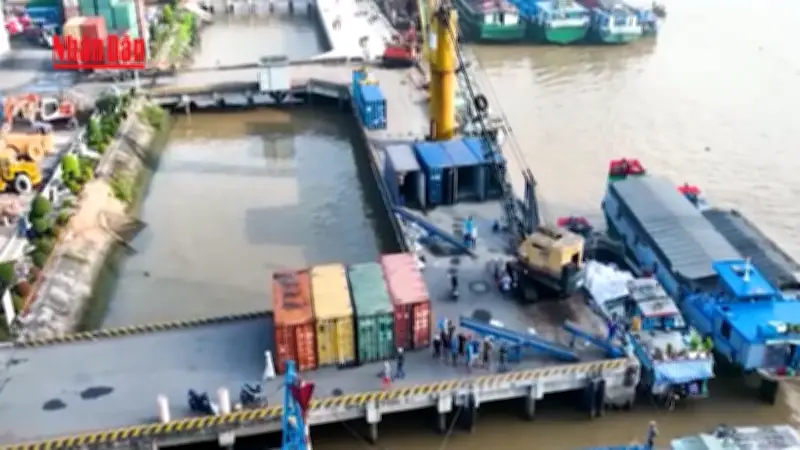 Giá Dầu Tăng Kéo Theo Chi Phí Logistics, Xuất Khẩu Gạo Việt Nam Đối Mặt Áp Lực Cạnh Tranh