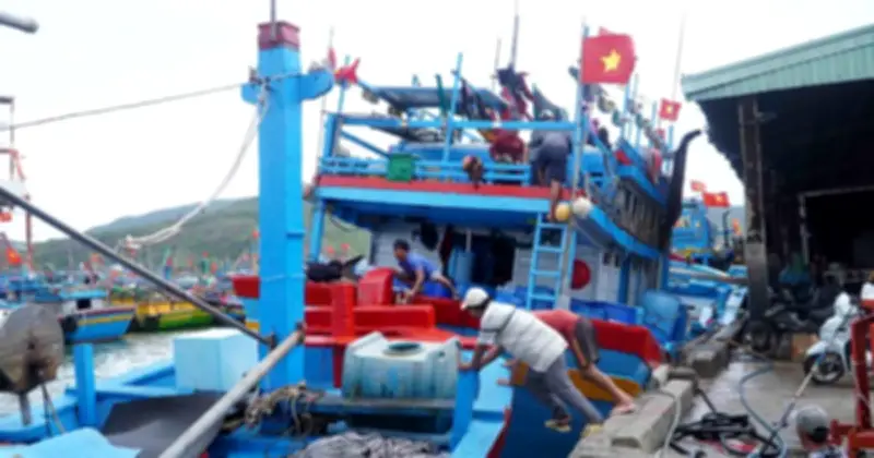 Giá dầu tăng vọt, ngư dân Quy Nhơn đối mặt khó khăn kép: Chi phí đội lên, thu nhập giảm sâu