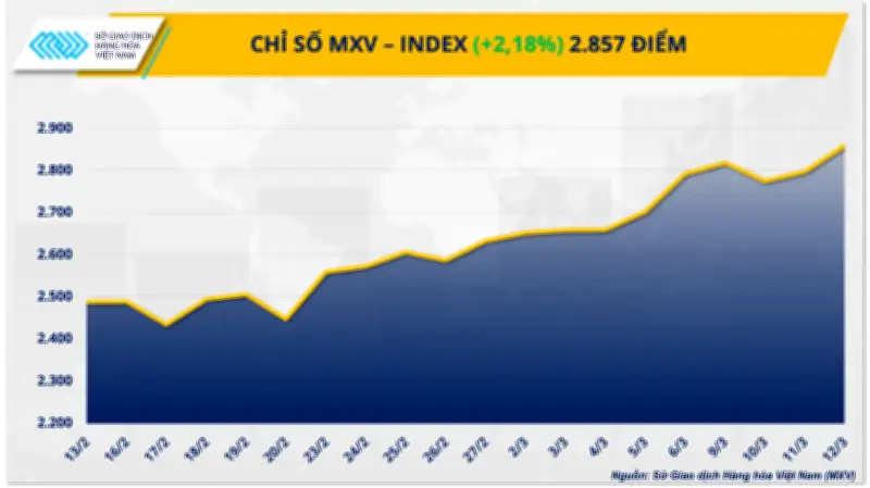 Giá dầu vượt 100 USD, đẩy giá đậu tương lên mức cao nhất 2 năm