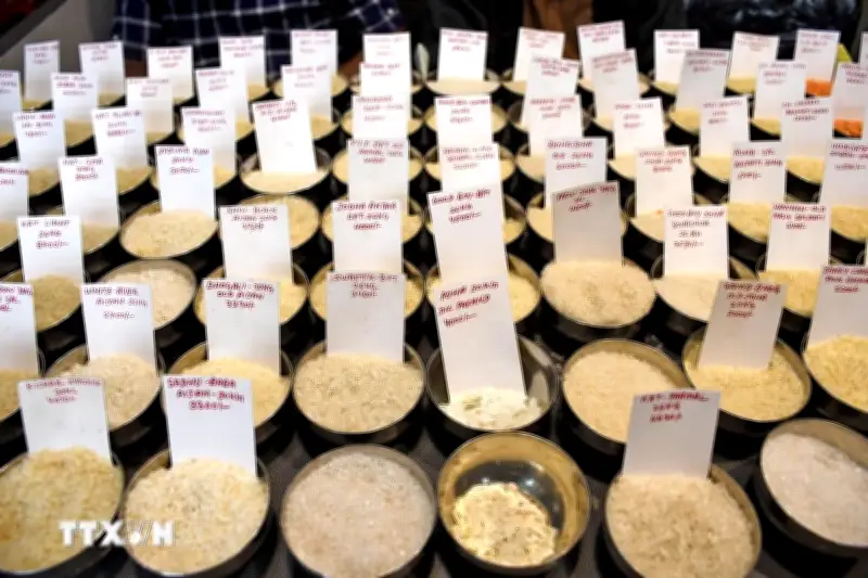 Giá Gạo Châu Á Giảm Mạnh Do Nhu Cầu Toàn Cầu Suy Yếu