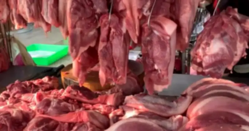 Giá Heo Hơi Giảm Mạnh Khắp Cả Nước Sau Tết, Nguồn Cung Dồi Dào