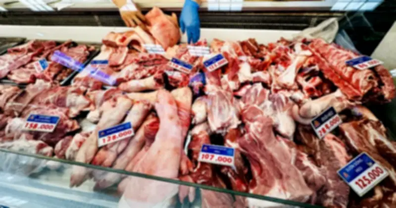 Giá Heo Hơi Miền Bắc Giảm Thêm, Chênh Lệch Lên Đến 8.000 Đồng/Kg Giữa Các Vùng