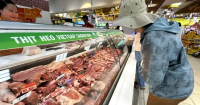 Giá heo hơi miền Bắc tiếp tục hạ nhiệt, nhiều tỉnh giảm thêm 1.000 đồng/kg