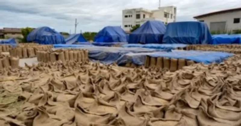 Giá lúa mì quốc tế tăng mạnh, tiến gần mức cao nhất hai năm do căng thẳng địa chính trị