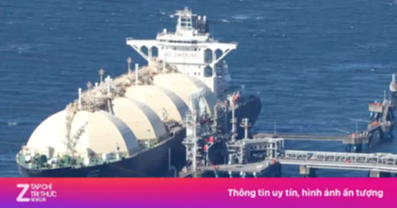 Giá LNG Châu Á Tăng Mạnh, Nhiều Tàu Chở Khí Bẻ Lái Khỏi Châu Âu Sang Châu Á