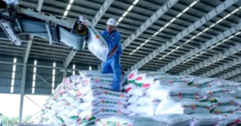 Giá phân bón tăng cao, nhập khẩu giảm mạnh trong 2 tháng đầu năm