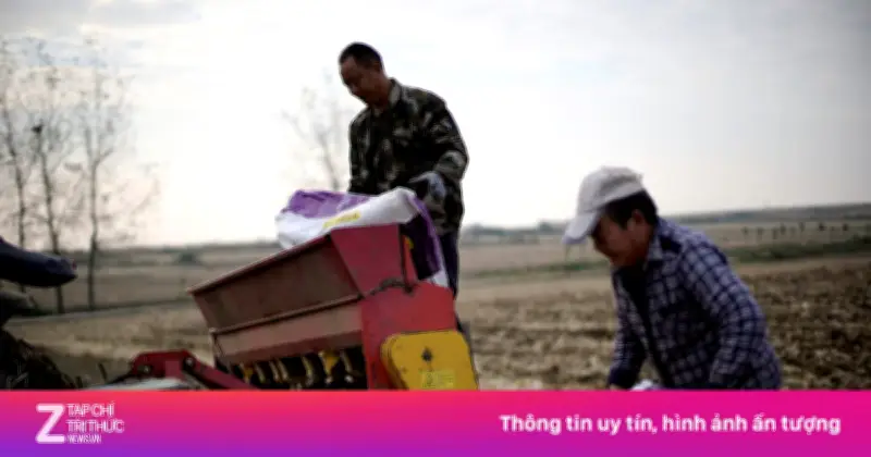 Giá phân bón tăng 'phi mã' do xung đột, nông dân Mỹ, châu Âu đối mặt nguy cơ phá sản