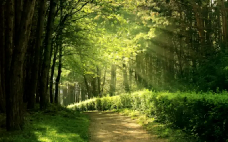 Giờ sinh âm lịch của trẻ: Dấu hiệu trẻ có khí chất lớn, làm rạng danh cha mẹ