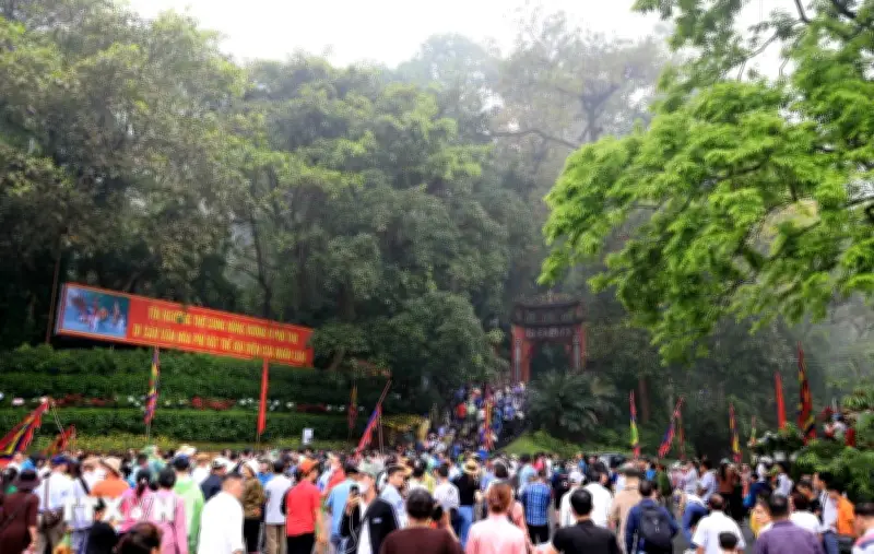 Giỗ Tổ Hùng Vương 2026: Nhiều Hoạt Động Đặc Sắc Tôn Vinh Giá Trị Văn Hóa Vùng Đất Tổ