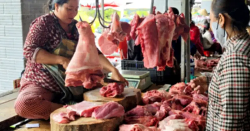 Giá Thịt Heo Lao Dốc, Nhiều Địa Phương Ghi Nhận Mức Giá Thấp Kỷ Lục