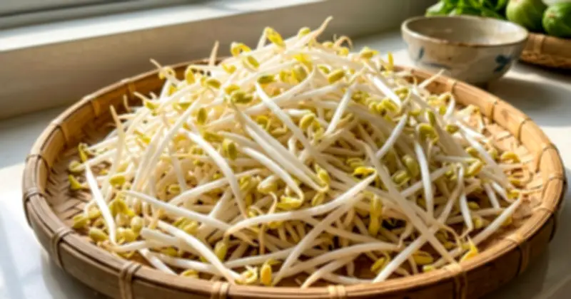 Giá Đỗ: Tăng Hấp Thu Sắt, Bảo Vệ Tim Mạch Và Lưu Ý Khi Sử Dụng