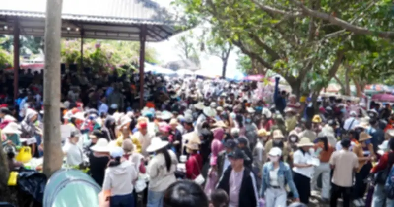 Gia Lai chủ động ứng phó nguy cơ 'vỡ trận' du lịch trước Năm Du lịch quốc gia 2026