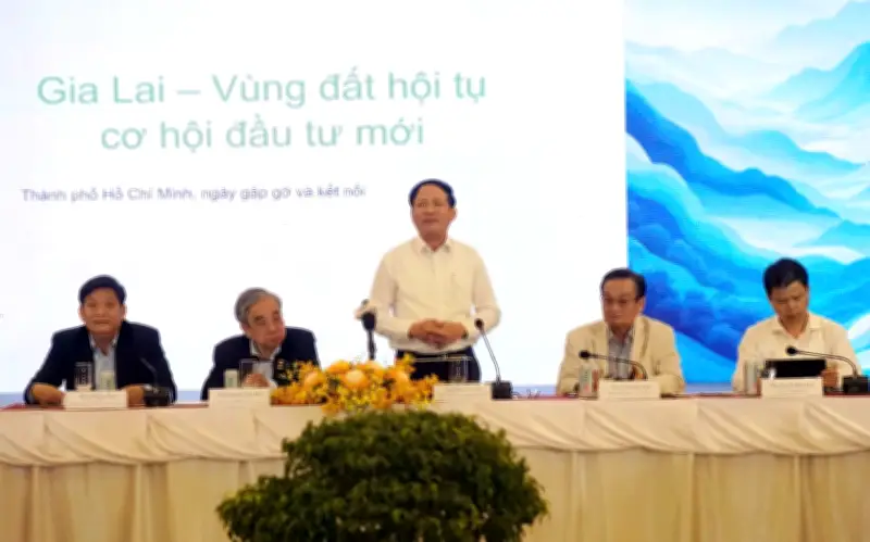 Gia Lai 'chào sân' doanh nghiệp TP.HCM với cơ chế 'làm cùng' và cảnh báo cơ hội thu hẹp