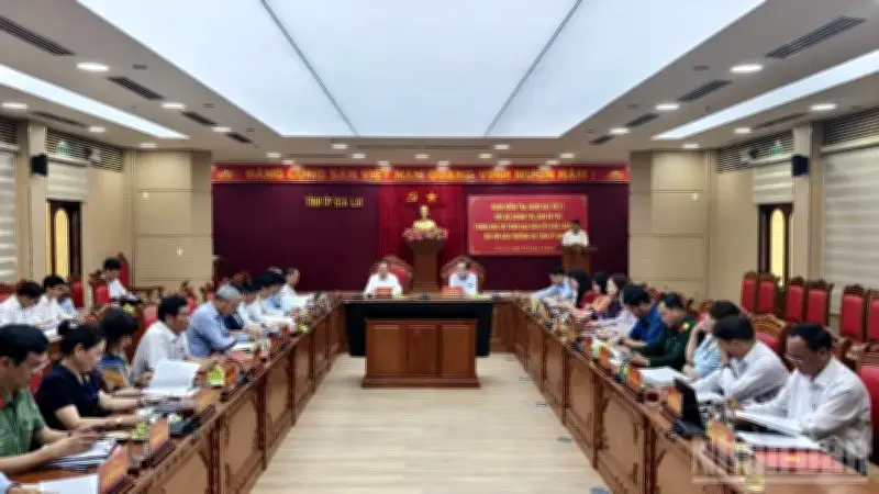 Gia Lai Đánh Giá Kết Quả Triển Khai Nghị Quyết Đại Hội XIV Và Bầu Cử