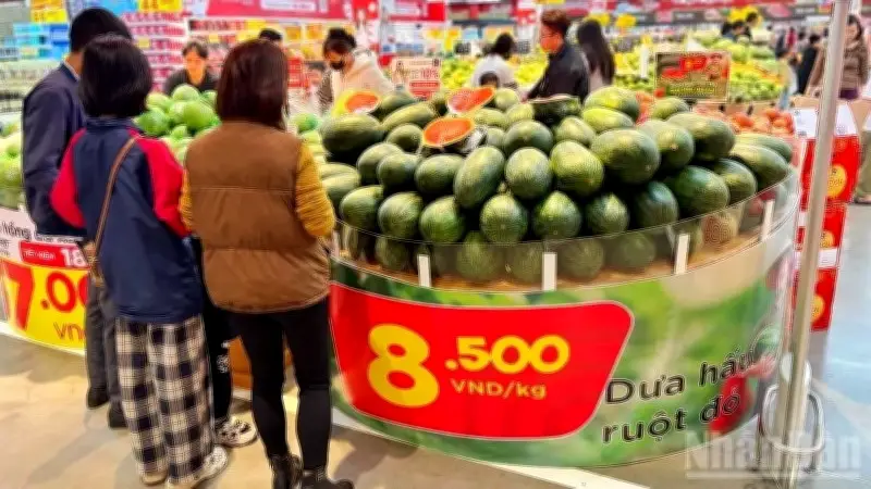 Gia Lai: Siêu thị GO! và Tops Market hỗ trợ tiêu thụ 200 tấn dưa hấu, giúp nông dân vượt khó