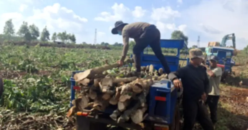 Gia Lai đẩy nhanh giải phóng mặt bằng dự án cao tốc Quy Nhơn - Pleiku