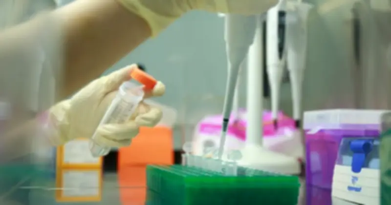 Giám Định Viên Tiết Lộ: Hồ Sơ Khai Sinh Phát Hiện Vụ Xâm Hại Trẻ Em