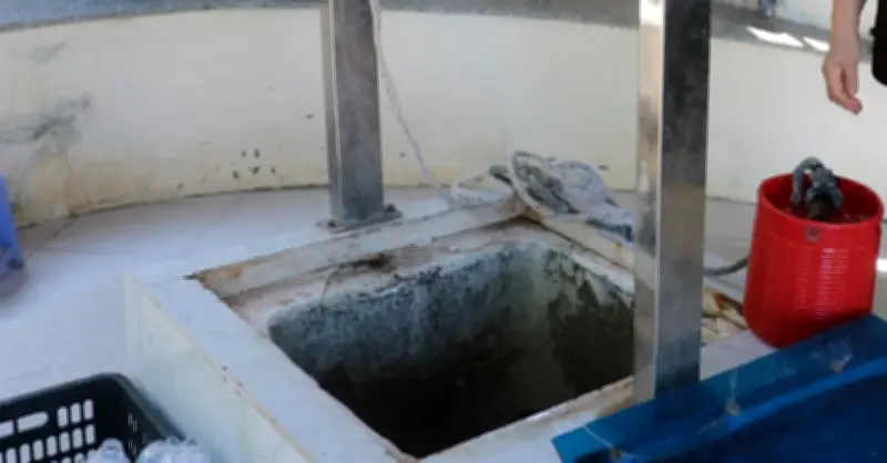 Giếng cổ 200 năm ở Vũng Tàu gắn với giai thoại vua Gia Long cắm gươm tìm nước