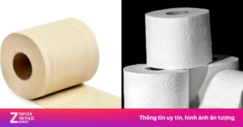 Giấy vệ sinh màu vàng và trắng: Sự thật về an toàn và lựa chọn thông minh