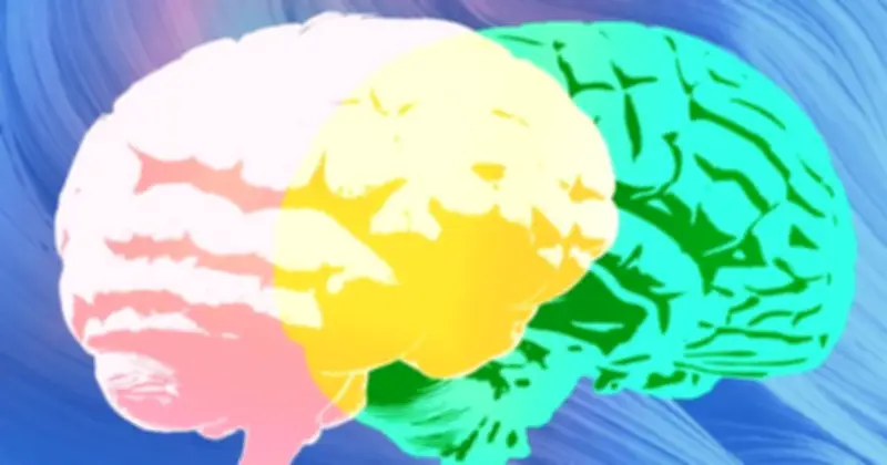 Grammarly Ra Mắt 'Expert Review': AI Đóng Vai Chuyên Gia Gây Tranh Cãi Về Tính Xác Thực