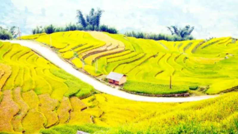 Hộ chiếu Việt Nam lên hạng, lọt top quốc gia đẹp nhất thế giới năm 2026