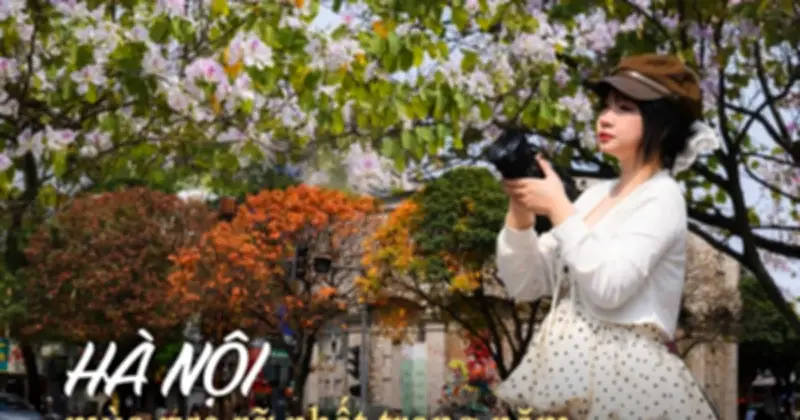Hà Nội Bước Vào Mùa Hoa Xuân Rực Rỡ, Thu Hút Giới Trẻ Check-in