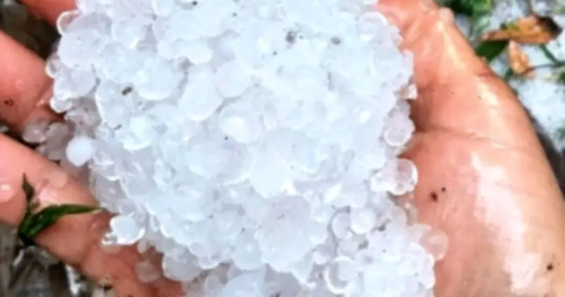 Hà Nội cảnh báo giông lốc, mưa đá sáng 30/3, đề phòng nguy hiểm bất ngờ