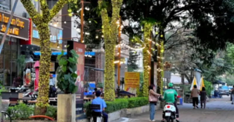 Hà Nội cảnh báo: Trang trí đèn LED trên cây xanh đe dọa sức khỏe đô thị