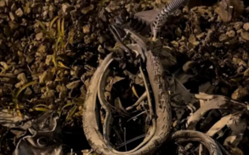 Hà Nội: Tai nạn thảm khốc giữa tàu hỏa và xe máy, hai người tử vong tại chỗ