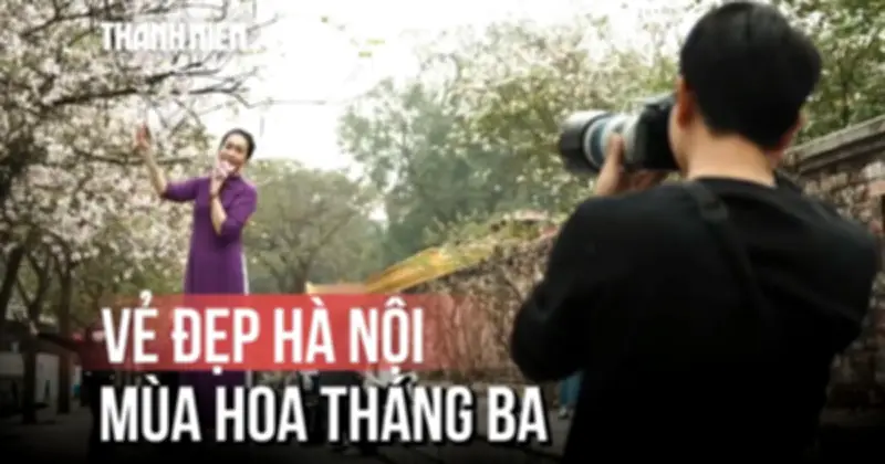 Hà Nội Tháng Ba: Đi Đâu Cũng Gặp Hoa Nở Rực Rỡ Khắp Phố Phường