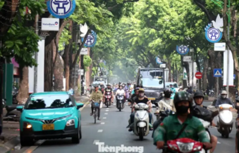 Hà Nội và TP.HCM đẩy mạnh lộ trình chuyển đổi taxi xanh, học hỏi kinh nghiệm quốc tế