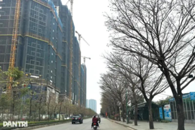 Hà Nội xử lý, giải tỏa 239 công trình vi phạm trên đất nông nghiệp