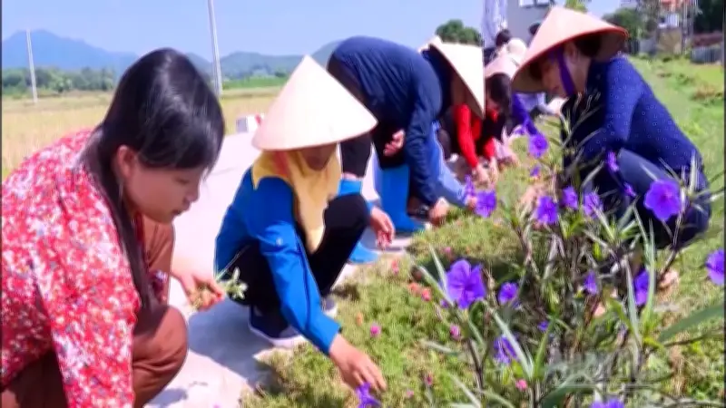 Hà Nội đẩy mạnh phong trào 'Sáng - Xanh - Sạch - Đẹp' để xây dựng đô thị văn minh
