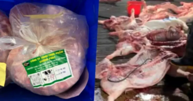 Hà Nội Yêu Cầu Hơn 2.900 Trường Rà Soát Nguồn Thực Phẩm Sau Vụ Lợn Dịch