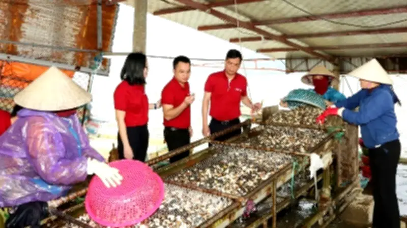 Hệ thống Quỹ Tín Dụng Nhân Dân: Động lực tài chính cộng đồng cho phát triển kinh tế tập thể