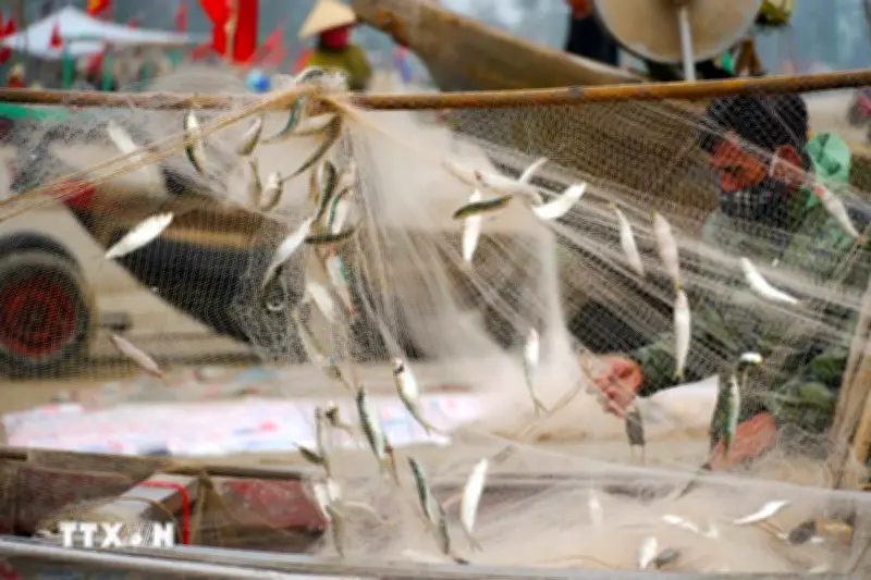 Hà Tĩnh: Trúng đậm mùa cá trích, ngư dân phấn khởi vụn khơi