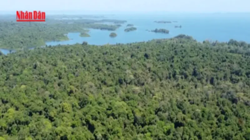 Hồ Trị An - Nguồn nước quý giá đảm bảo sinh hoạt cho TP.HCM