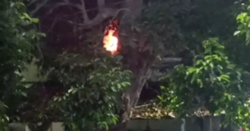 Hỏa hoạn kinh hoàng tại bệnh viện Ấn Độ: 10 người tử vong, 7 người bị thương do chập điện