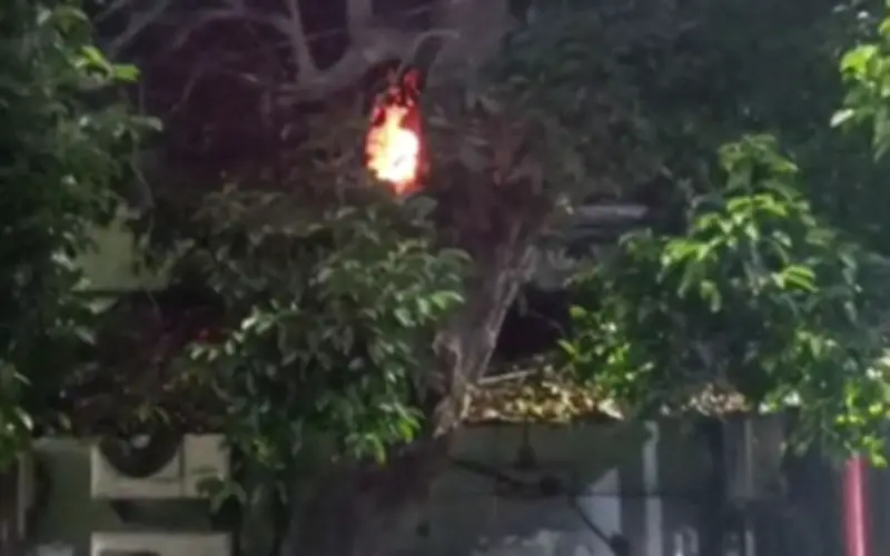 Hỏa hoạn kinh hoàng tại bệnh viện Ấn Độ: 10 người tử vong, 7 người bị thương