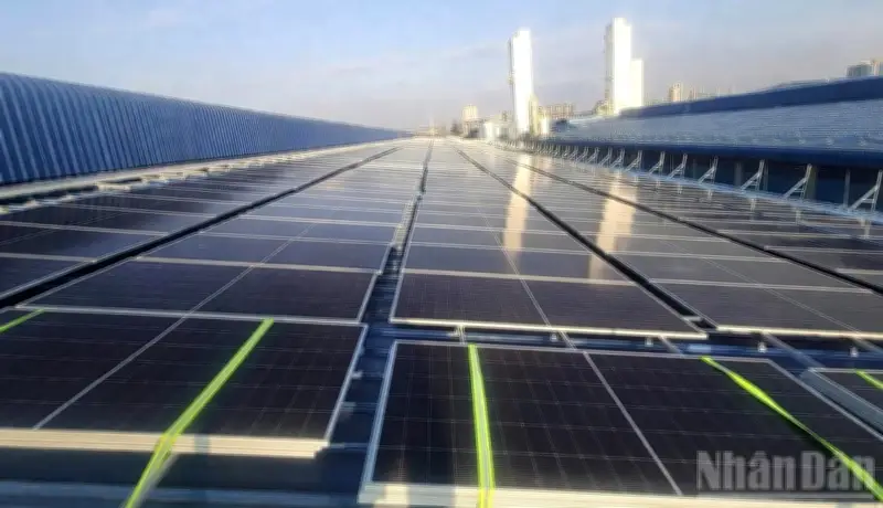 Hòa Phát Dung Quất đầu tư gần 600 tỷ đồng cho dự án điện mặt trời áp mái lớn nhất Việt Nam