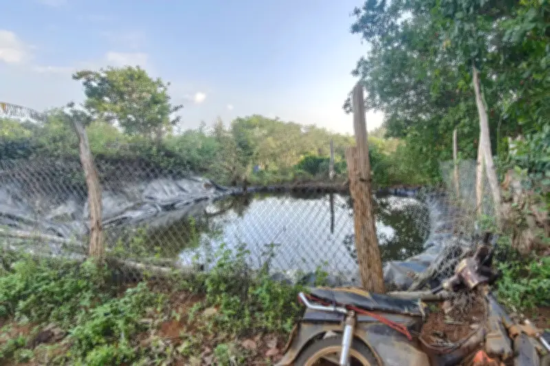 Hai học sinh tiểu học tử vong thương tâm do đuối nước tại hồ nước