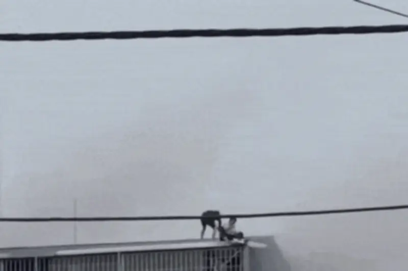 Hai thanh niên dùng búa phá mái tôn, giải cứu 8 người thoát khỏi đám cháy ở Hà Nội