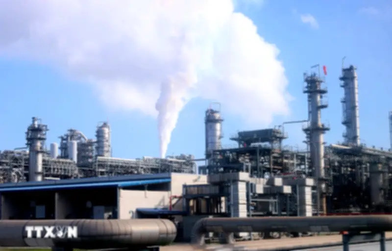 Học giả Italy đánh giá cao chiến lược bảo đảm an ninh năng lượng của Việt Nam