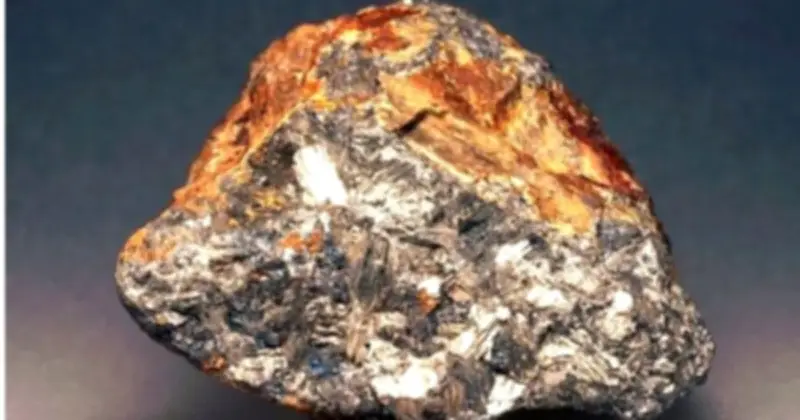 HGM chi gần 111 tỷ đồng tạm ứng cổ tức đợt 3, tổng tỷ lệ 2025 lên 218%