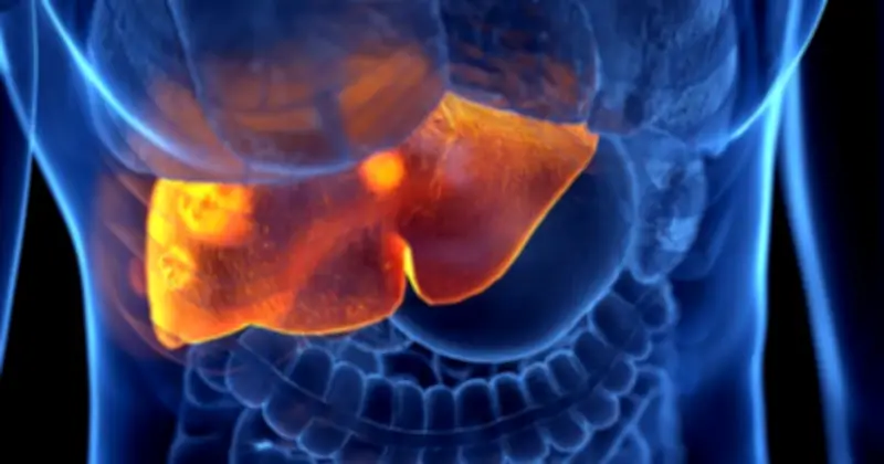 Hôi Miệng Có Thể Là Dấu Hiệu Cảnh Báo Bệnh Gan Nguy Hiểm